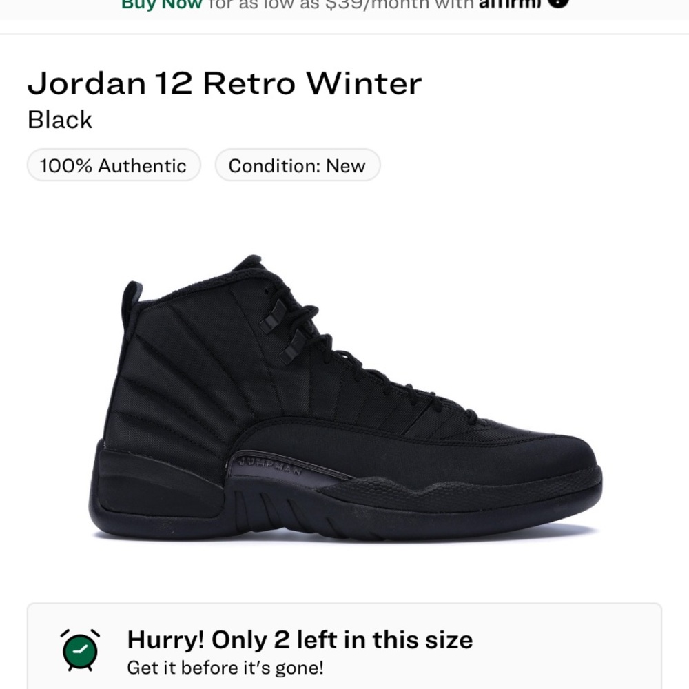 Jordan 12 WNTR - Picture 8 of 8
